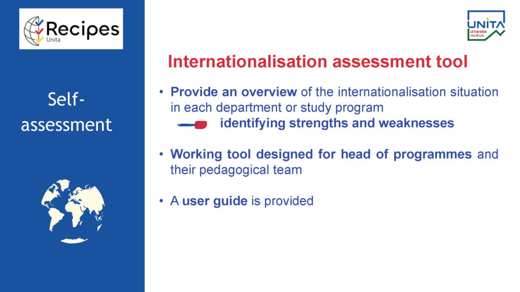 Internationalisation assessment tool